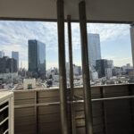 【売買】マジェスタワー六本木 画像24